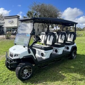 2025 Evolution D5 Maverick 6 Plus Pearl White | 6-Seater with CarPlay