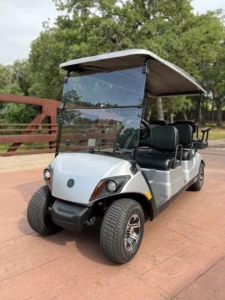 2022 Yamaha Concierge 6 Passenger Non-Lifted Silver